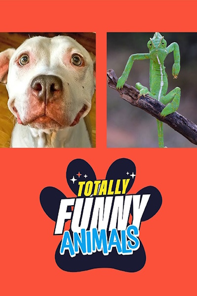 Totally Funny Animals - Season 2